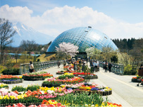 TOTTORI HANAKAIRO FLOWER PARK