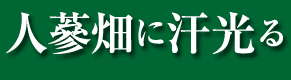 lQɊ