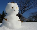 �y��V�сI�z�~�̃C�x���g�̂��m�点
